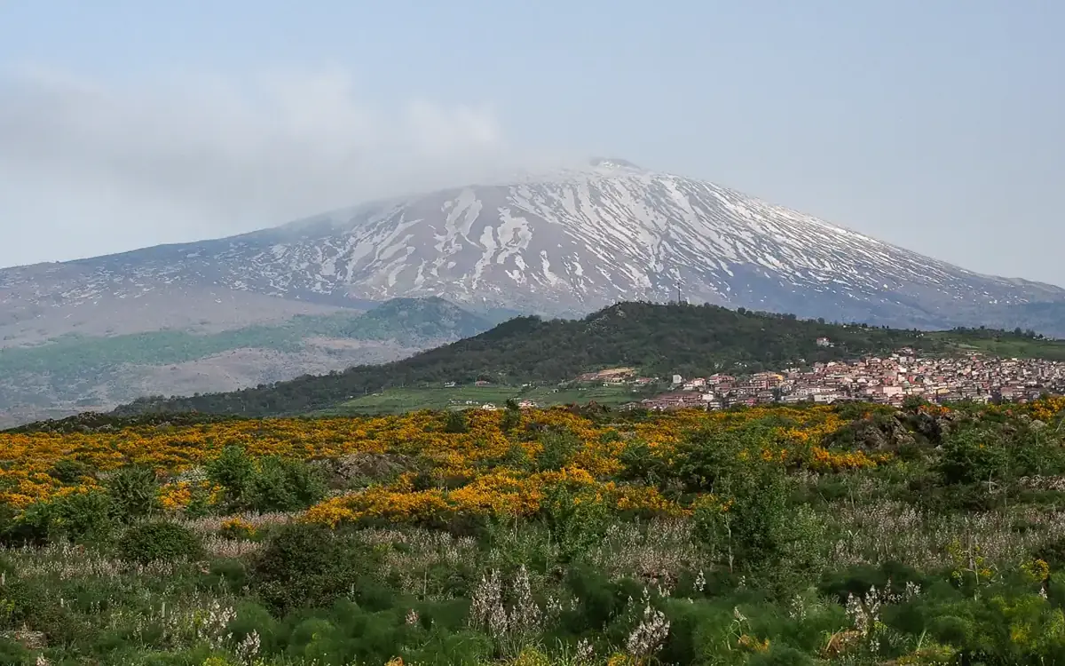 Paesaggio dell'Etna con ginestre e vegetazione